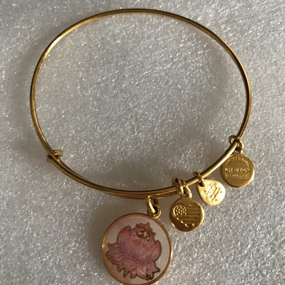 Alex and Ani Expandable Wire Bracelet - Picture 4 of 12